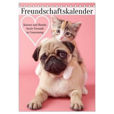 Freundschaftskalender - Katzen und Hunde, beste Freunde in Umarmung (Tischkalender 2027 DIN A5 hoch), CALVENDO Monatskalender