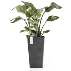 Ecopots, Blumentopf, Rotterdam halbhoch (31 x 31 x 56 cm)