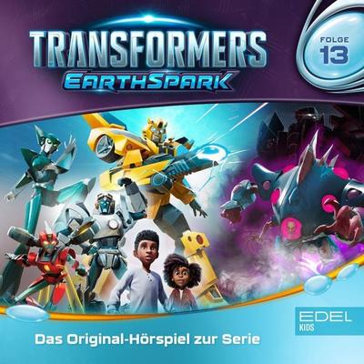 Folge 13: Letzte Hoffnung - Teil 1+2 (Das Original-Hörspiel zur Serie) - Maike Prestin, Audio, 4029759209430