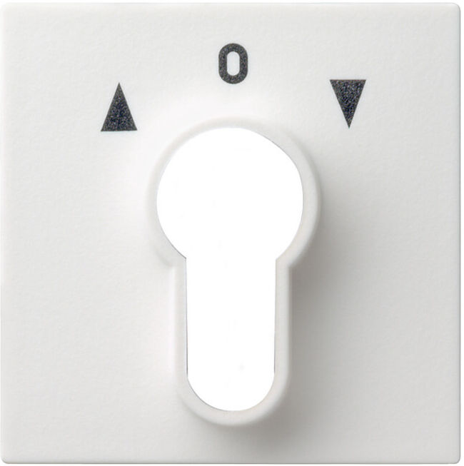 Gira Plaque centrale clé rws System55 066427 (066427)