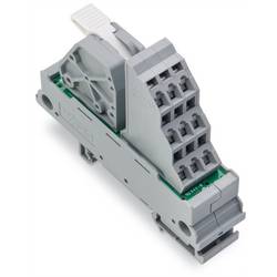 WAGO 830-800/000-313 Potentialverteilermodul Grau 10 St.