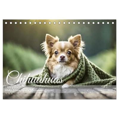 Chihuahuas - Kleine Hunde - große Temperamentbündel (Tischkalender 2027 DIN A5 quer), CALVENDO Monatskalender