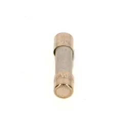 BOSCH Ersatzteil TTNR: 8738803397 Sicherung 10A (10x) everp