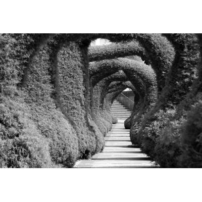 Fototapete PAPERMOON "Treppe Schwarz & Weiß", schwarz (schwarz, weiß), B:3m L:2,23m, Vlies, Tapeten
