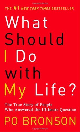 Po Bronson - What Should I Do with My Life?: The True Story of People Who Answered the Ultimate Question - Preis vom 14.10.2026 23:07:16 h
