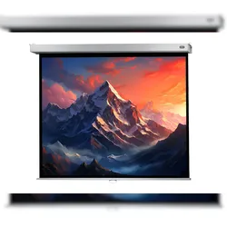 celexon Leinwand Rollo Professional Plus 300 x 225 cm - 148`
