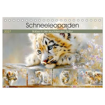 Schneeleoparden. Babys in der leuchtenden Natur (Tischkalender 2027 DIN A5 quer), CALVENDO Monatskalender