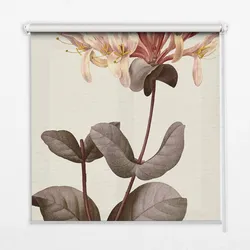 INNENROLLO - Fensterrollo - Rollo - 100x140 cm - fallende Blume
