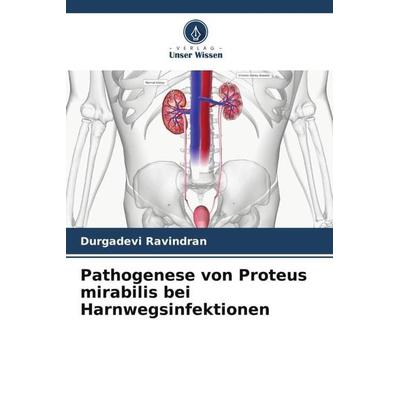 Pathogenese von Proteus mirabilis bei Harnwegsinfektionen, Taschenbuch von Durgadevi Ravindran, Verlag Unser Wissen, 978-620-6-53624-6