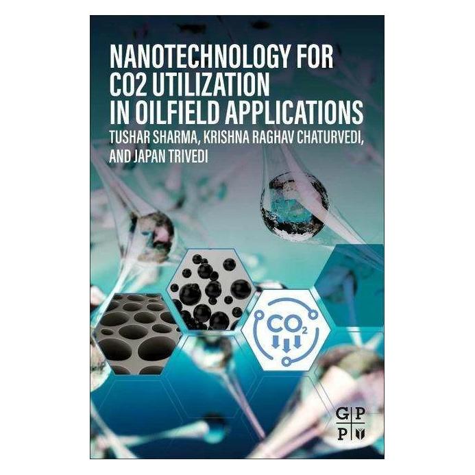 Gulf Publishing Company Nanotechnology for Co2 Utilisation in Oilfield Applications (Englisch) (42034985)