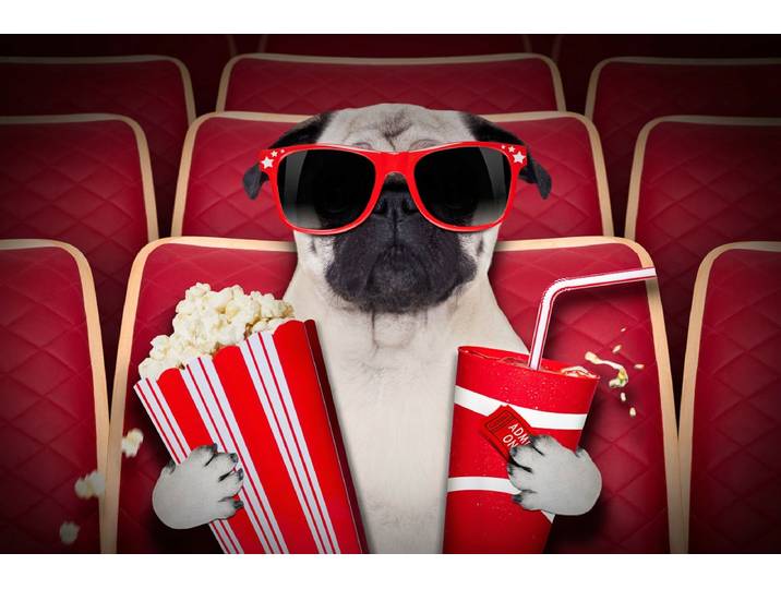 Fototapete PAPERMOON Hund im Kino , bunt, B:4m L:2,6m, Vlies, Tapeten, Fototapete