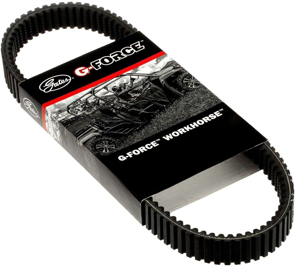 Courroie de transmission GATES GAT19G3982E