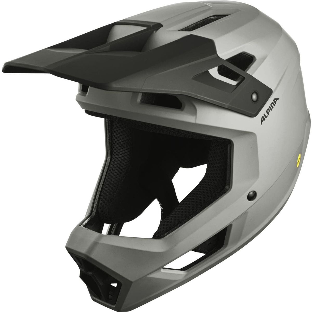Alpina Pikes Mips smoke-grey matt (20) 60-63 A9798320