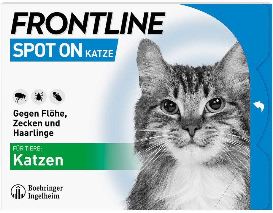 FRONTLINE SPOT ON Katze
