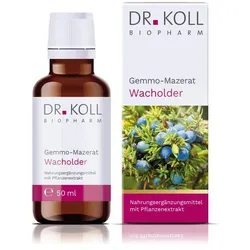Gemmo-mazerat Wacholder Dr.koll Juniperus Com.tro. 50 ml