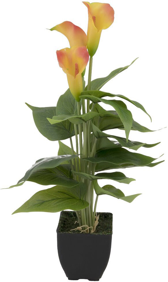 Europalms Calla Mini, Gelb Orange, 43cm