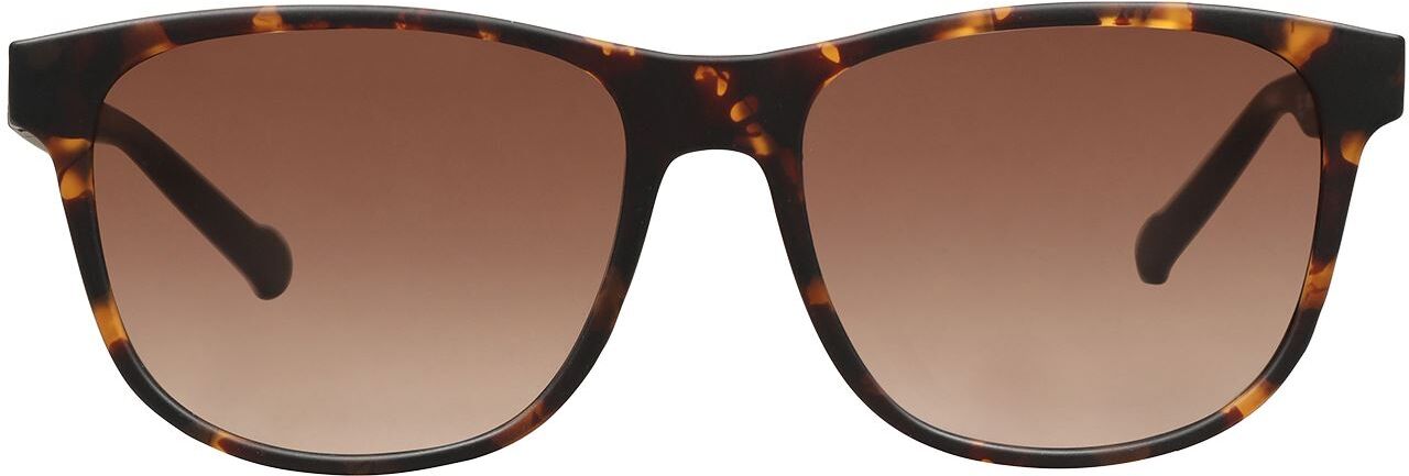 Adidas Gafas de sol Hombre Café 54 Hombre