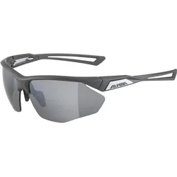 Alpina, Unisex, Sportbrille, Nylos HR (Midnight-grey matt, Silver), Grau