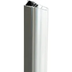 Neuesbad Magnetprofil für Walk-In, Titan NB1DEKTJD00X1