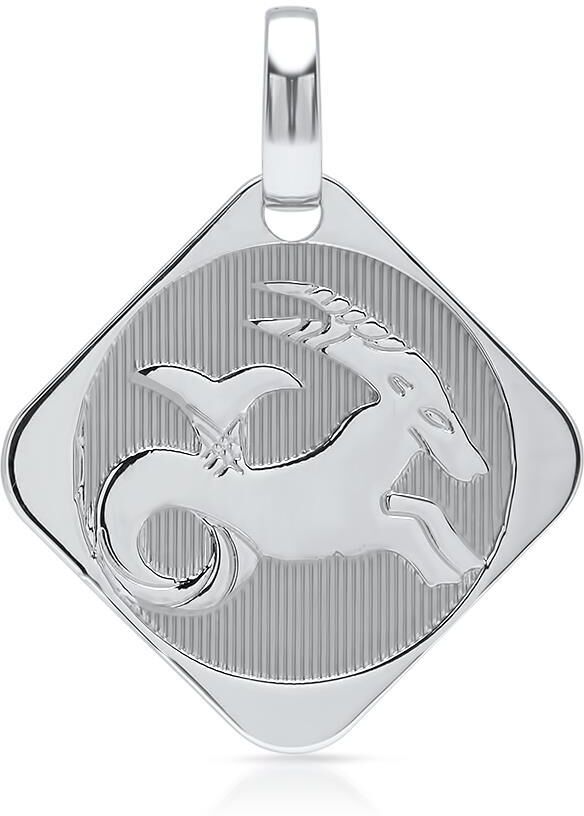 Unique 925 Silberanhänger Sternzeichen Steinbock silber