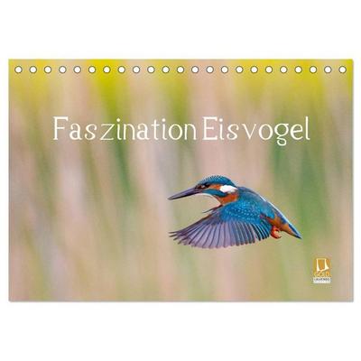 Faszination Eisvogel (Tischkalender 2027 DIN A5 quer), CALVENDO Monatskalender