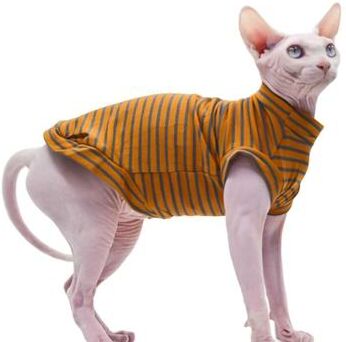 Uplift Essentials Summer Breathable Cotton Hairless Cat Vest l