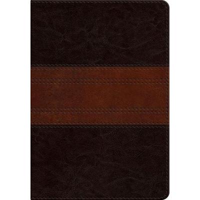 ESV Large Print Personal Size Bible, Red Letter (Trutone, Forest/Tan, Trail Design), Gebundene Ausgabe von Esv Bibles, Crossway