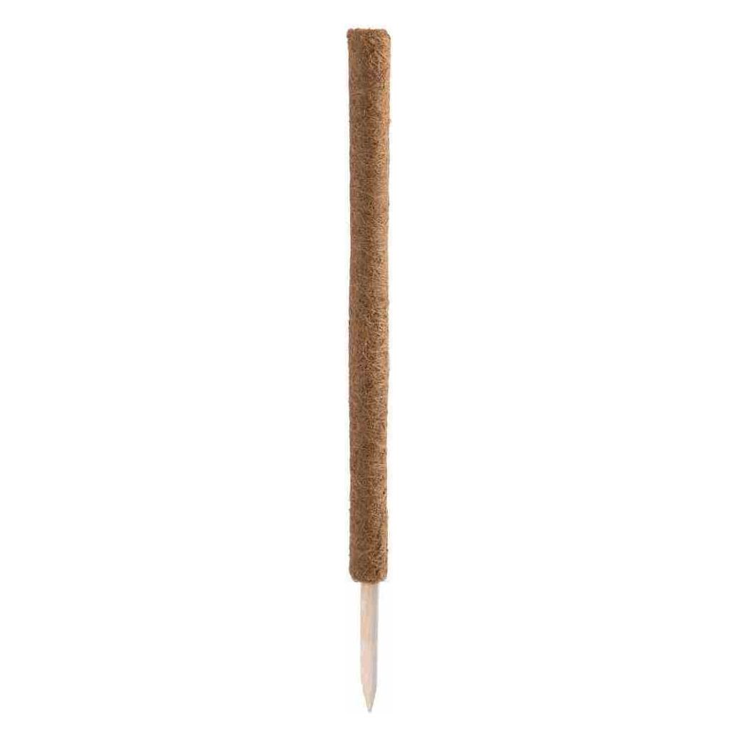 Siena Garden Rankstab (80 cm, 5 cm) (H6508014)