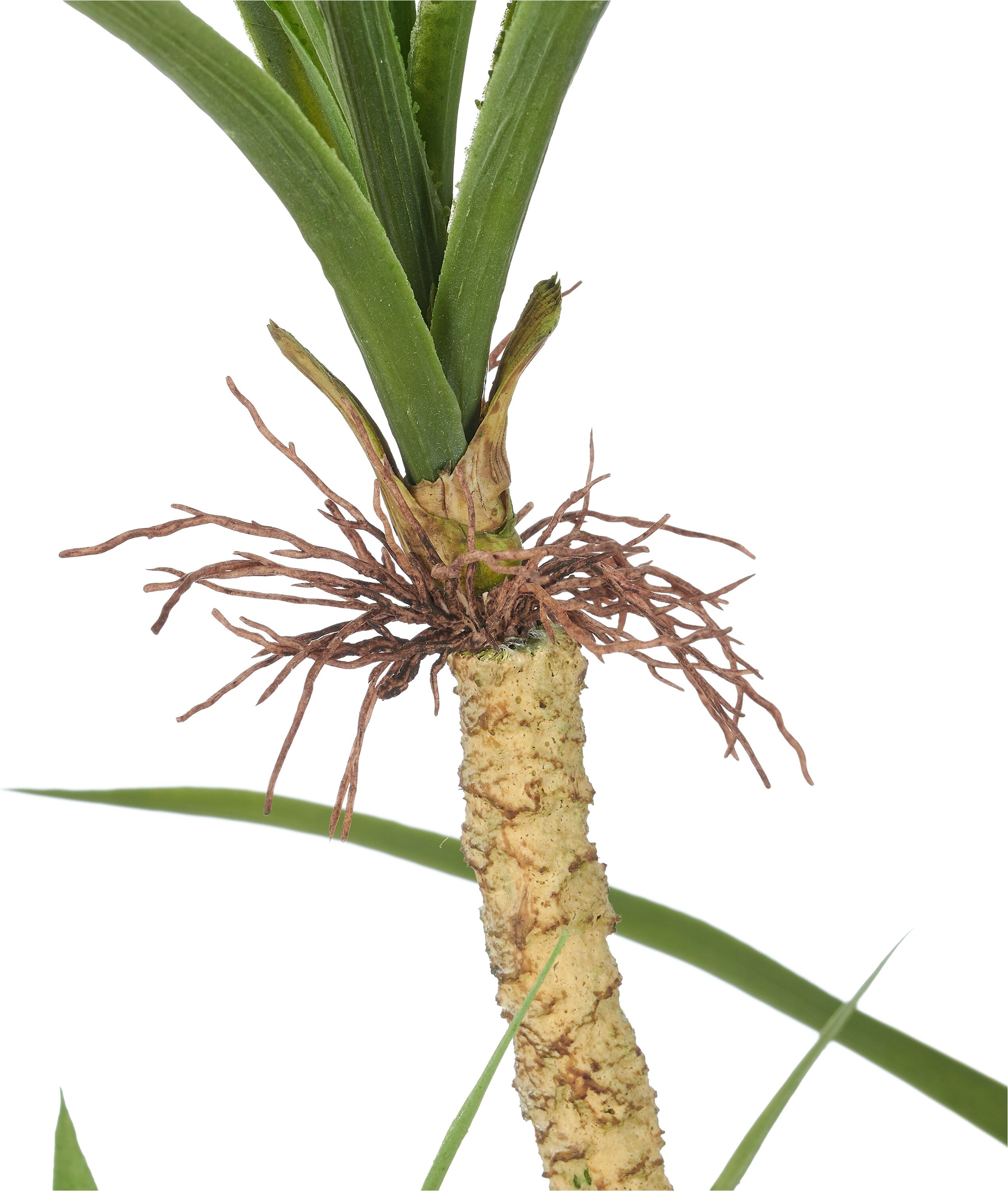 Kunstbaum CREATIV GREEN "Dracaena marginata", grün, H:140cm, Obermaterial: 100% Kunststoff, Kunstpflanzen, Kunstbaum, mit 6 Stämmen
