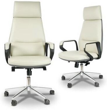 toswini Faux Leather High Back Office Chair with Lumbar Support and Tilt Control