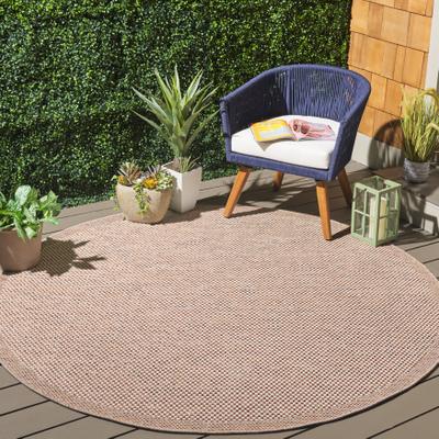 SAFAVIEH Sisal All-Weather Dalros Transitional Rug