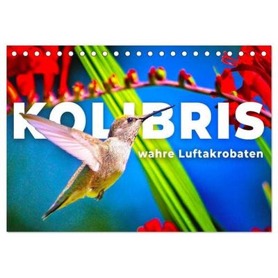 Kolibris - wahre Luftakrobaten (Tischkalender 2027 DIN A5 quer), CALVENDO Monatskalender