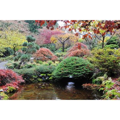 Fototapete PAPERMOON "Teich im Garten", bunt, B:3,5m L:2,6m, Vlies, Tapeten