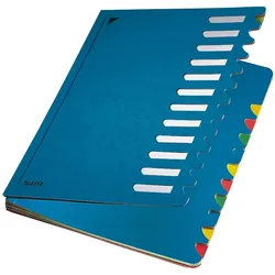 Leitz, Mappe, Ordnungsmappe (A4)