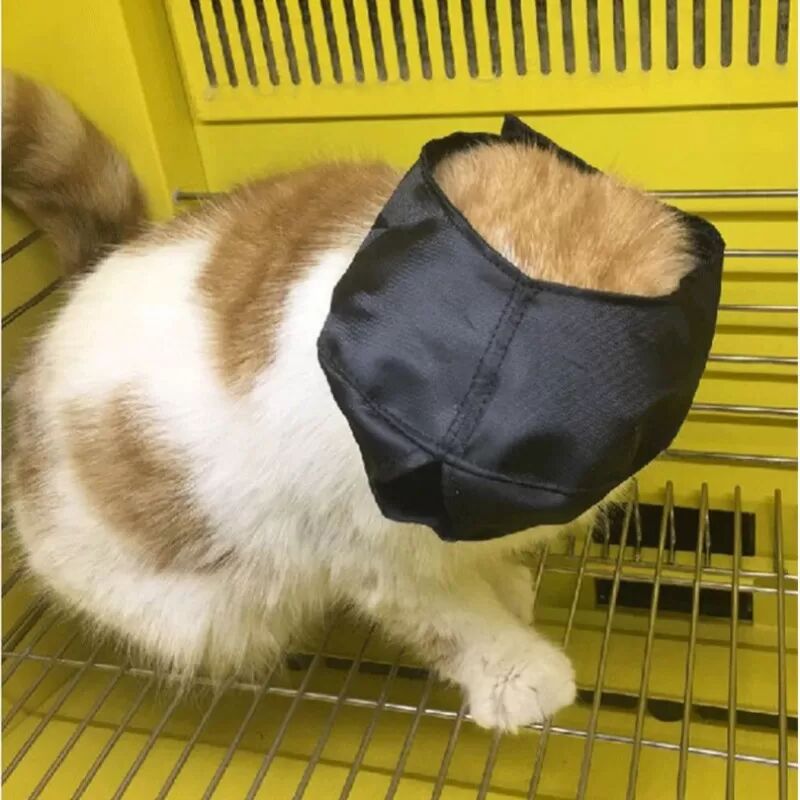 INF Masque apaisant pour les yeux des animaux : sommeil, toilettage et plus encore S