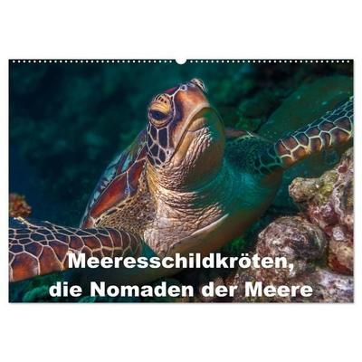 Meeresschildkröten, die Nomaden der Meere (Wandkalender 2027 DIN A2 quer), CALVENDO Monatskalender