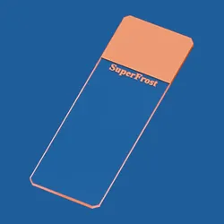 Objektträger SuperFrost orange 45° geschliffen 50 Stück