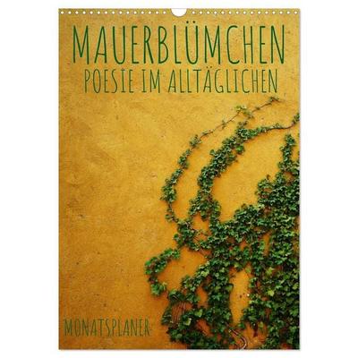 Mauerblümchen - Poesie im Alltäglichen als Monatsplaner (Wandkalender 2027 DIN A3 hoch), CALVENDO Monatskalender