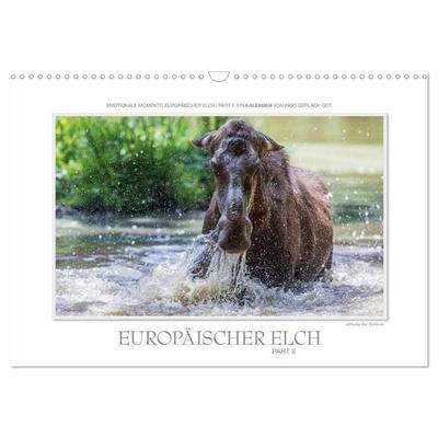 Emotionale Momente: Europäischer Elch Part II (Wandkalender 2027 DIN A3 quer), CALVENDO Monatskalender