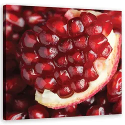 WANDBILD makro marineblau obst