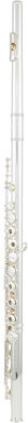 Sankyo CF 301 Flute RBE