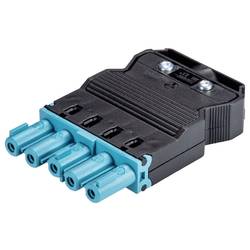 Wieland Electric 92.953.4453.0 Steckverbinder Blau
