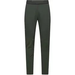 Salewa, Herren, Outdoorhose, Pedroc Stormwall/Durastretch Wind Hose (50, L, W50/L30), Grün