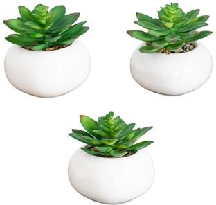 Nearly Natural 4-in Artificial Mini Succulent in Ceramic White Planter - Set of 3