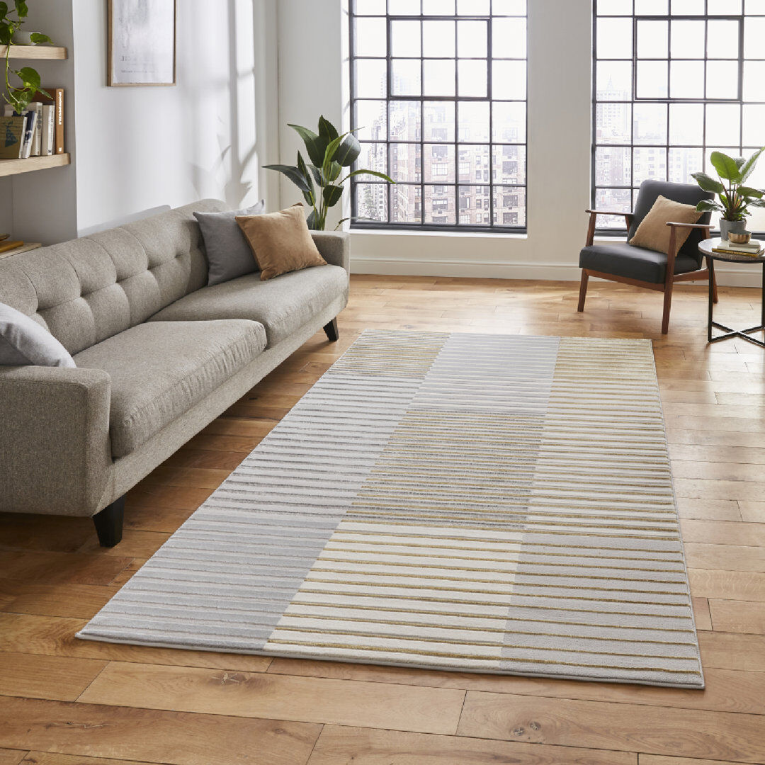Think Rugs Apollo area rug Machine Woven Rectangle Grey Gray Rectangle 80 x 150cm