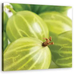 WANDBILD stachelbeeren obst