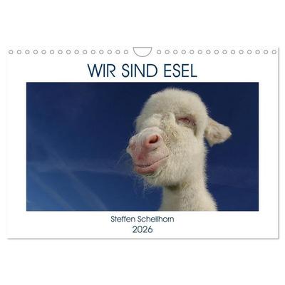 WIR SIND ESEL (Wandkalender 2026 DIN A4 quer), CALVENDO Monatskalender