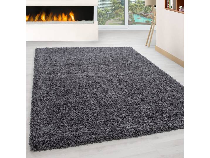 Tapis intérieur à poils longs gris-60x110