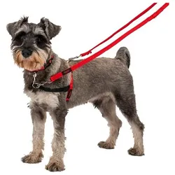 Company of Animals Halti Antizug M Front Control (M, Hund, Allgemein, Spazieren), Halsband + Leine