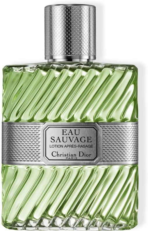 Christian Dior Eau Sauvage Aftershave im Spray für Herren 100 ml